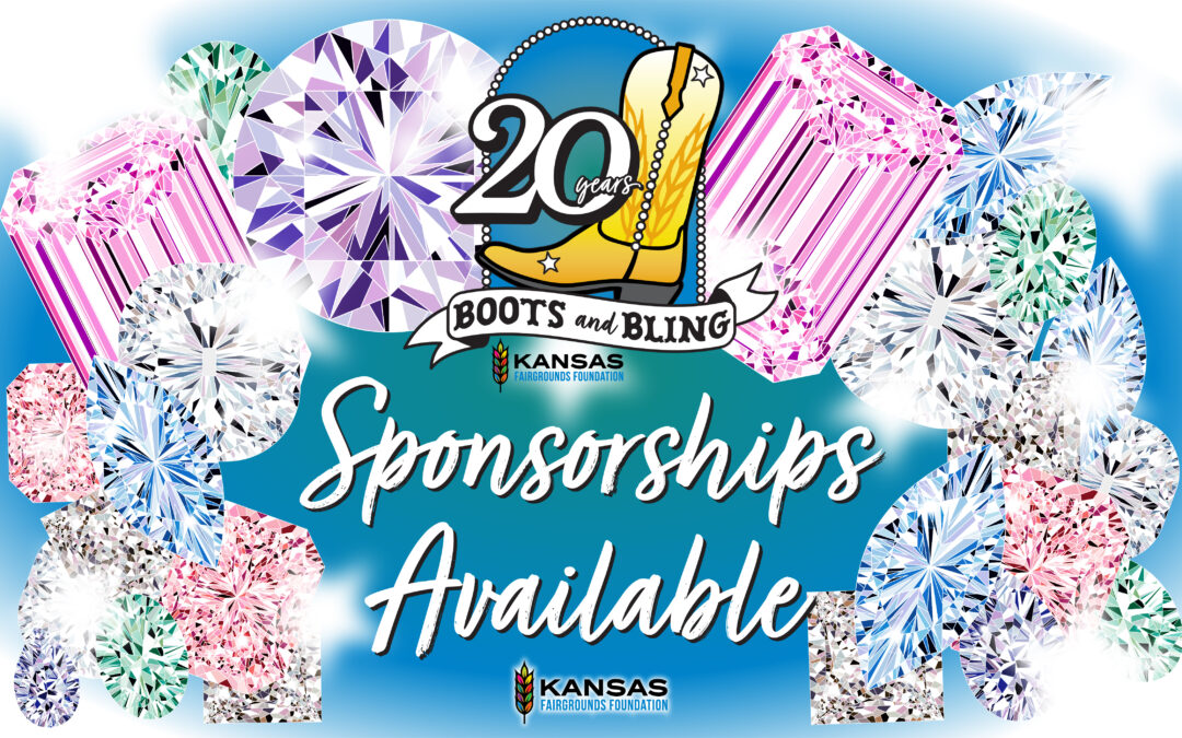 All About the Eight Boots and Bling Sponsorship Levels – Get to Know Boots and Bling!