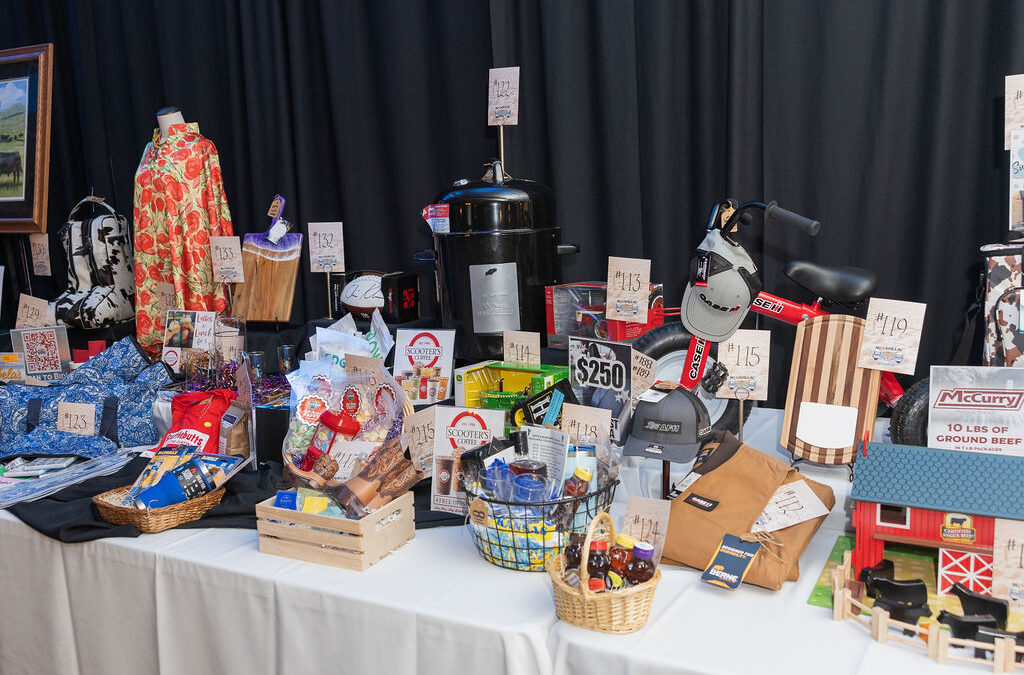 Building Extraordinary: Boots and Bling Silent Auction