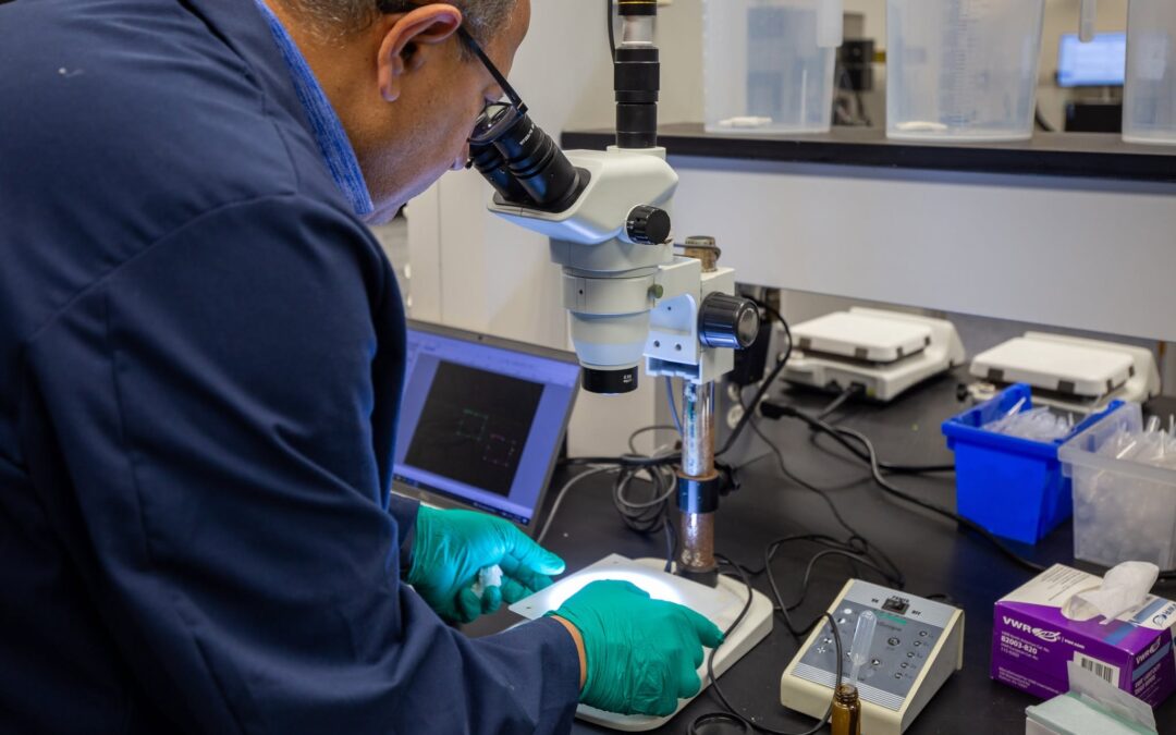 A Catalyst for Kansas: Chemistry and Community Go Hand in Hand