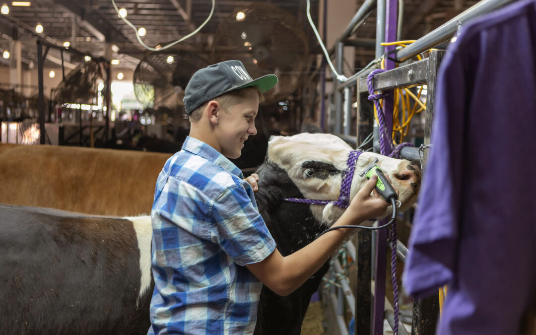 Shank’s Take: Always Something New at the Kansas State Fair