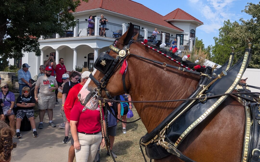 Foundation Highlights from the 2026 Kansas State Fair